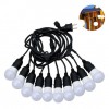 ĐỒNG BỘ DÂY ĐUI VÀ BÓNG ĐÈN DUHAL LED